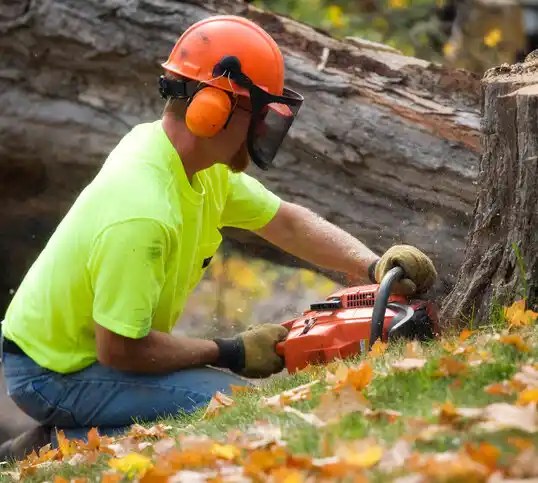 tree services Valentine